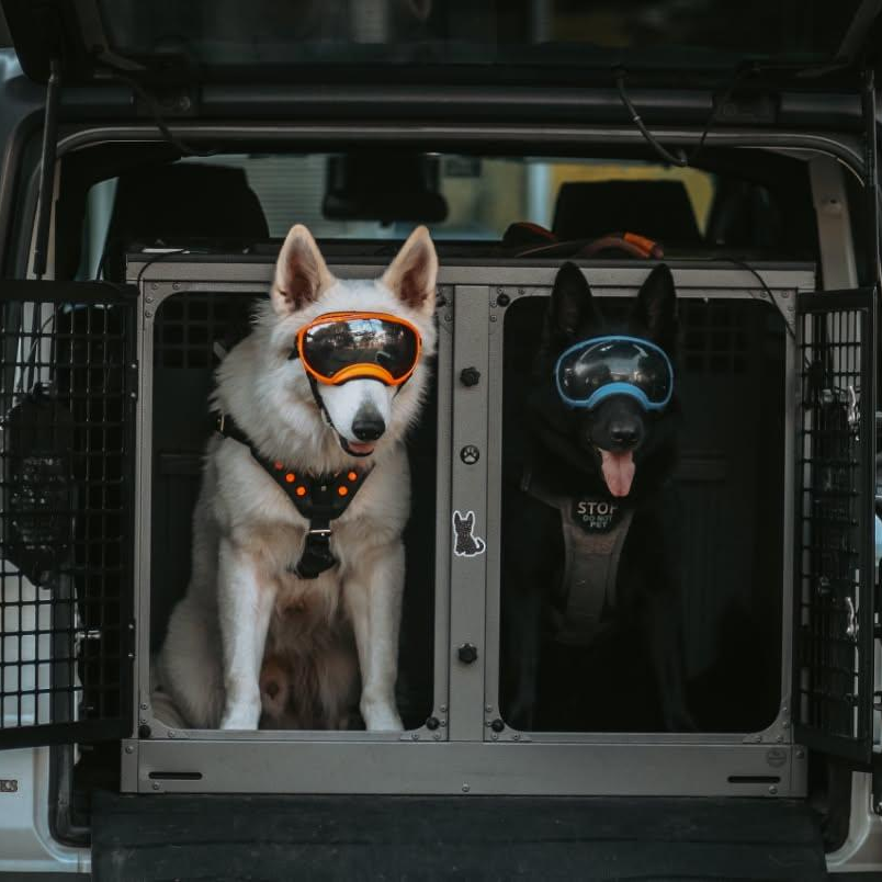 TransK9 Accessories
